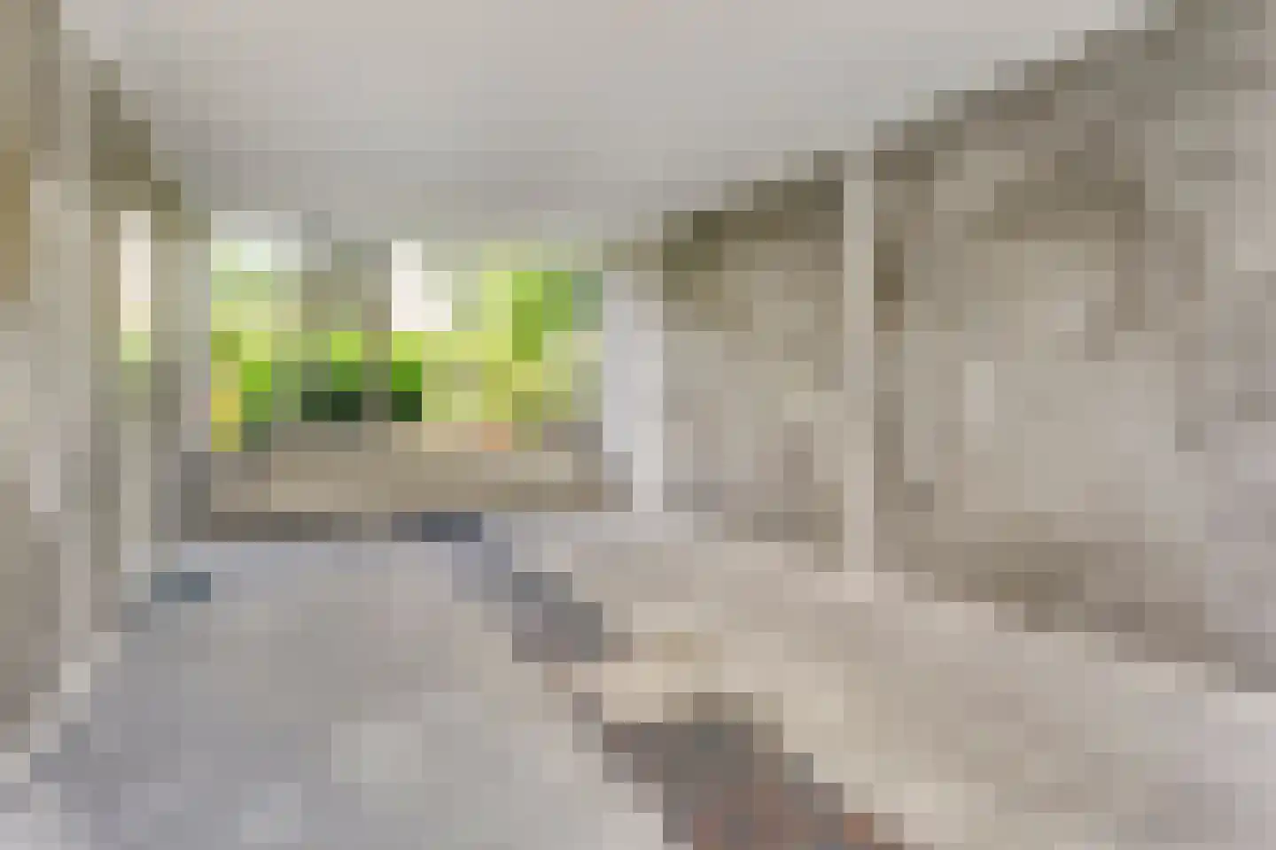 Briljantstraat 137 Groningen thumbnail 13