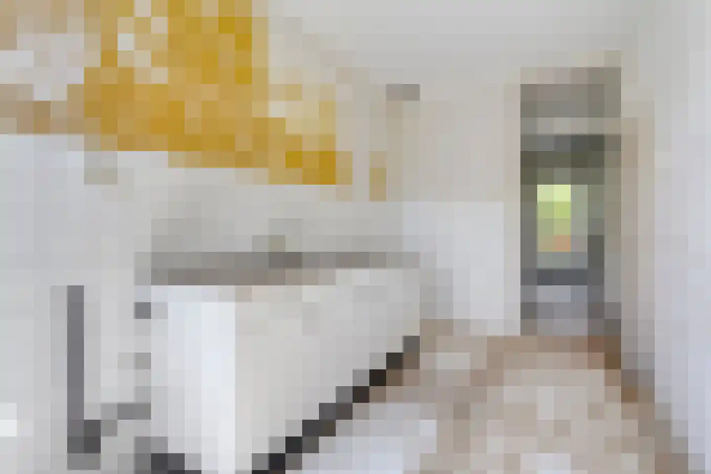 Briljantstraat 137 Groningen thumbnail 15