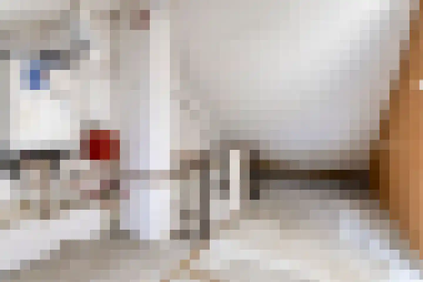 Briljantstraat 137 Groningen thumbnail 24