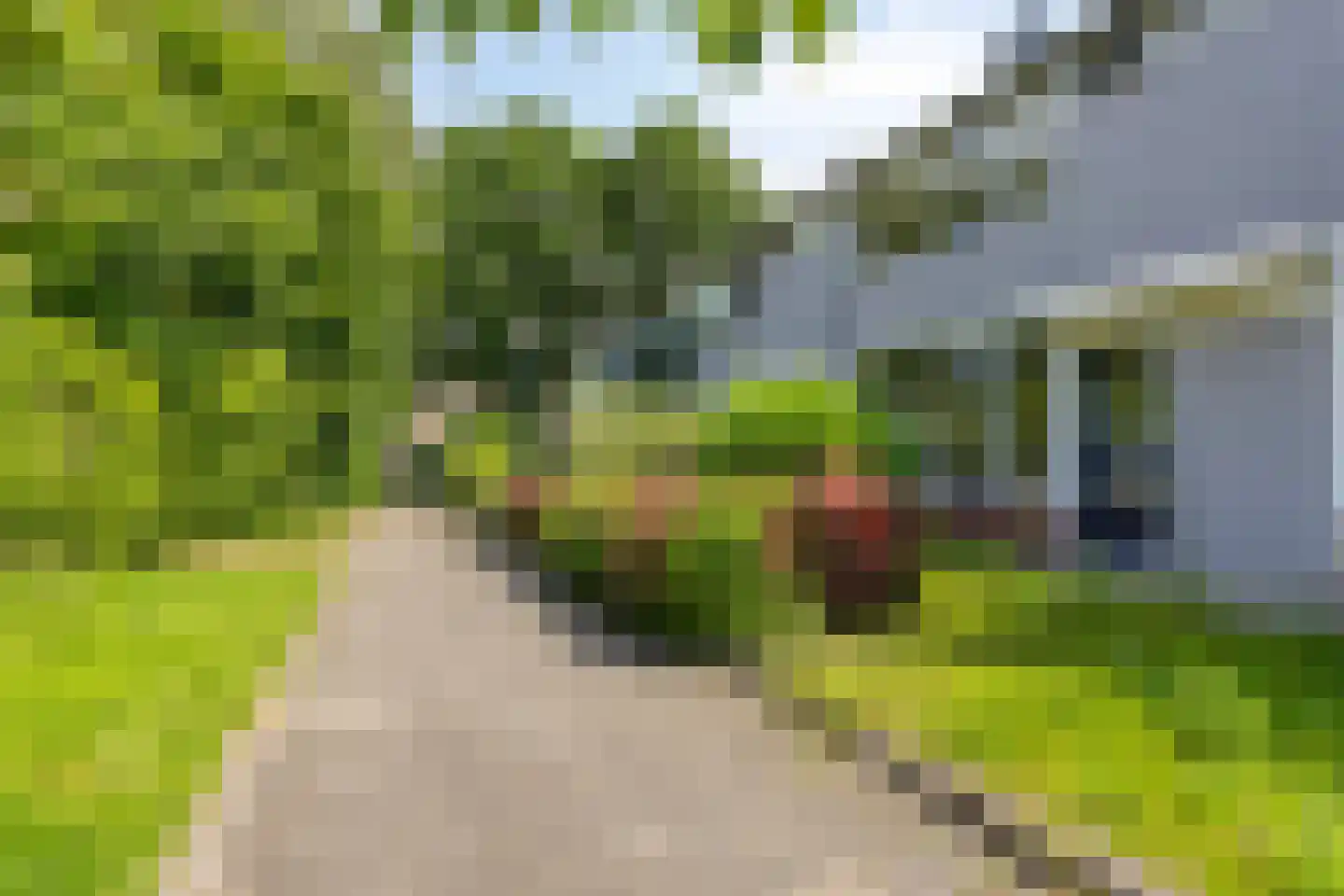 Briljantstraat 137 Groningen thumbnail 32