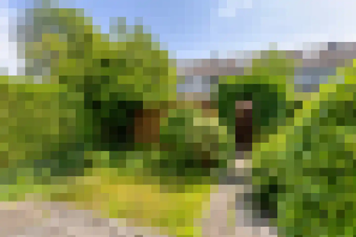 Briljantstraat 137 Groningen thumbnail 4