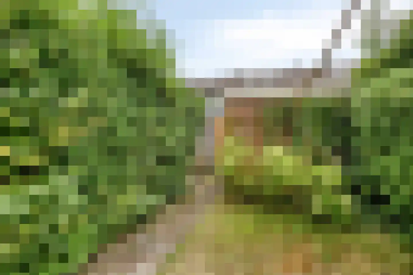 Briljantstraat 139 Groningen thumbnail 33