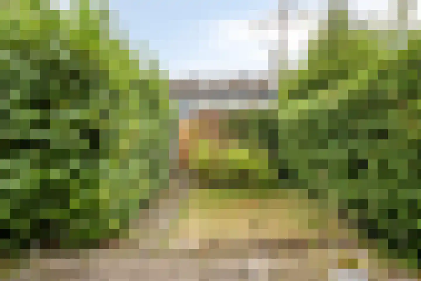 Briljantstraat 139 Groningen thumbnail 4