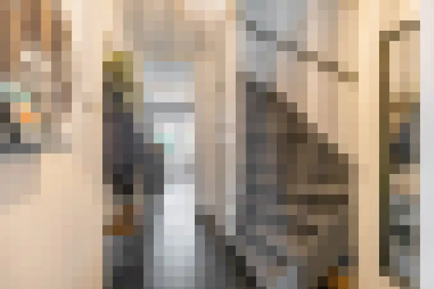 Briljantstraat 141 Groningen thumbnail 10