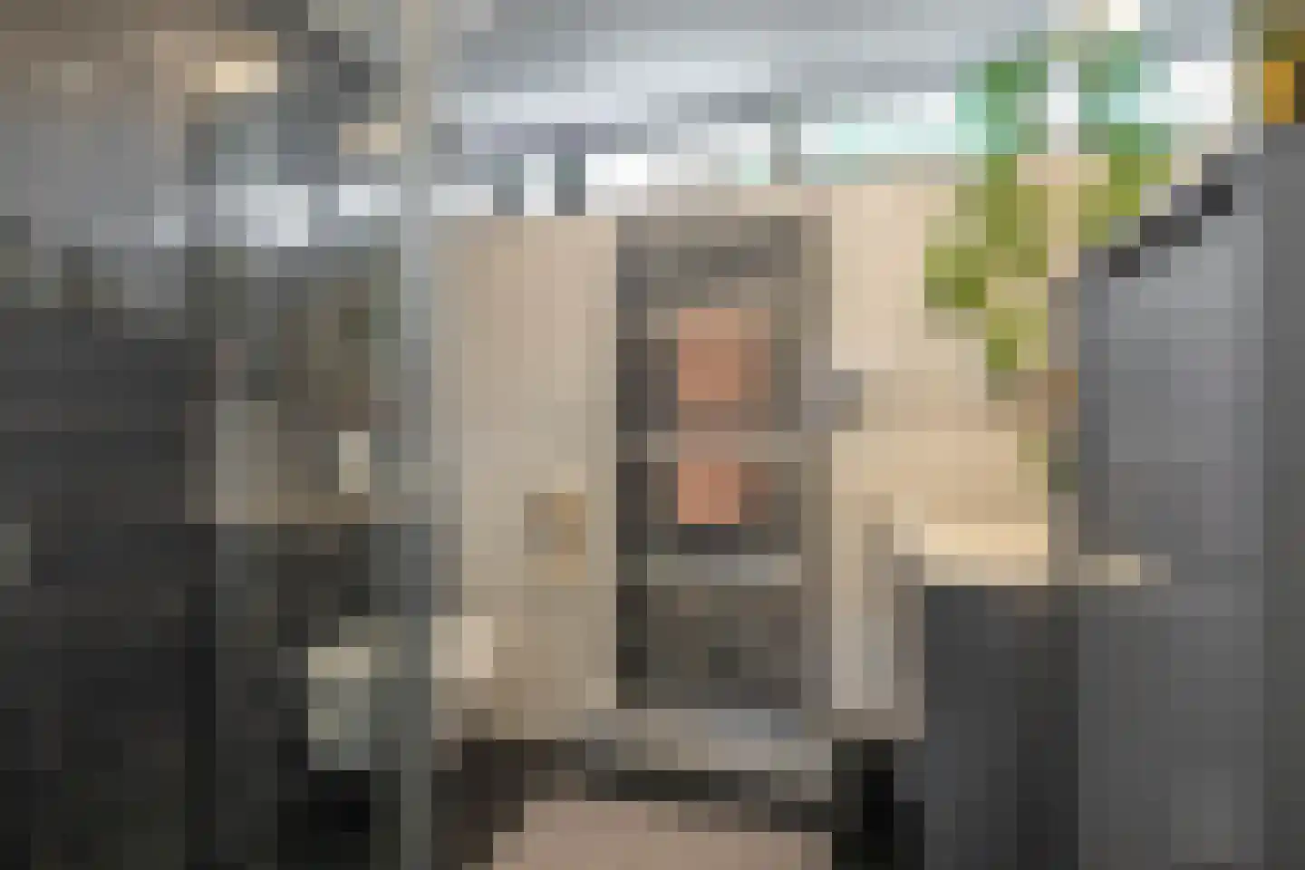 Briljantstraat 141 Groningen thumbnail 34