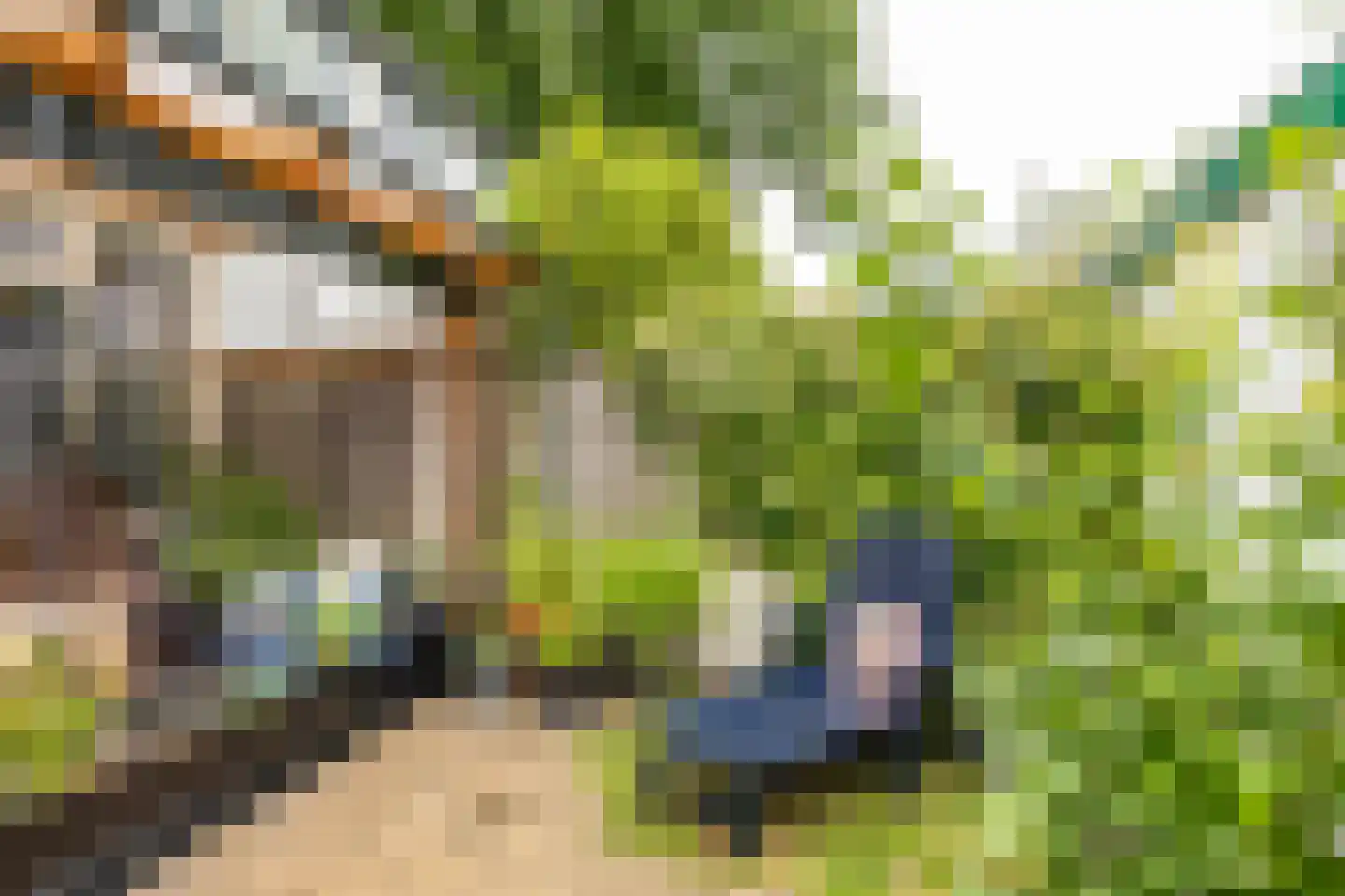 Briljantstraat 141 Groningen thumbnail 41