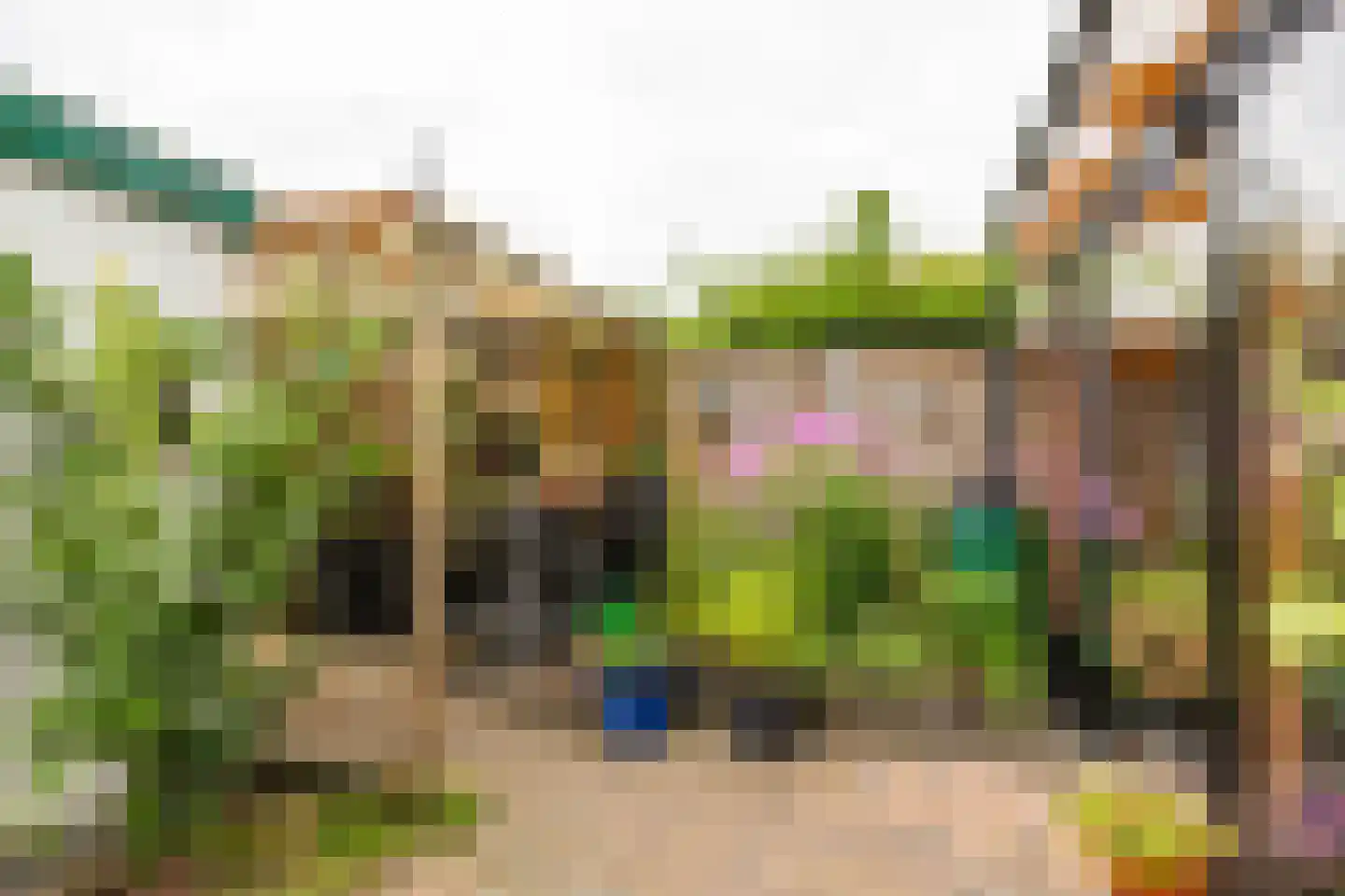 Briljantstraat 141 Groningen thumbnail 42