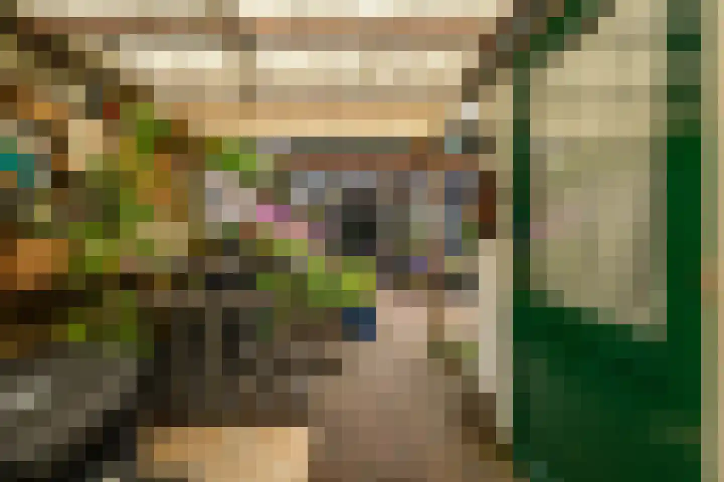 Briljantstraat 141 Groningen thumbnail 47