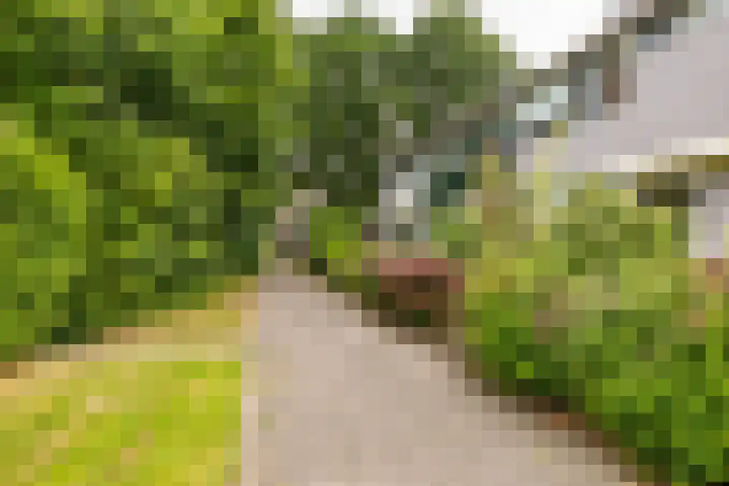 Briljantstraat 141 Groningen thumbnail 7