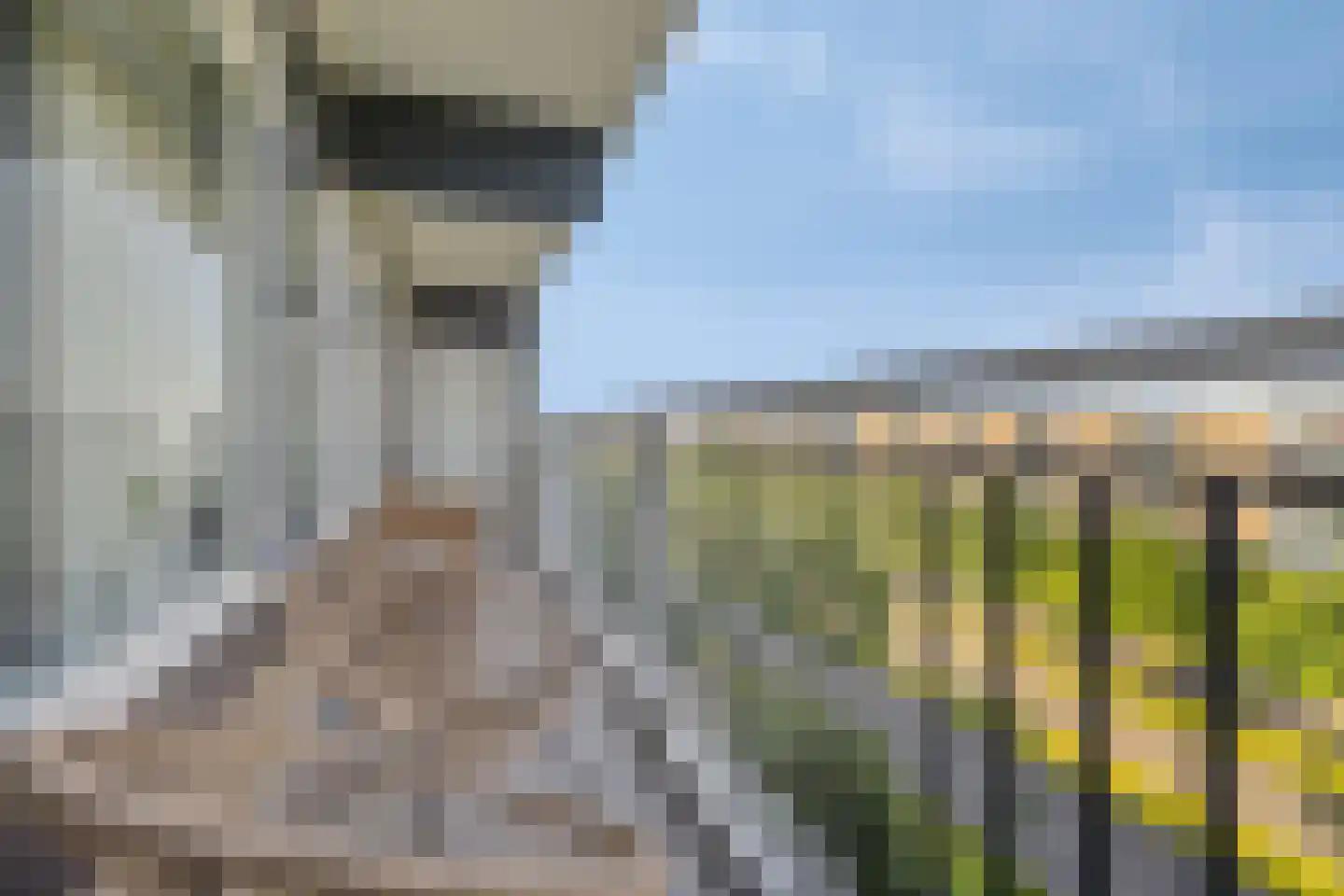 Briljantstraat 154 Alphen aan den Rijn thumbnail 22