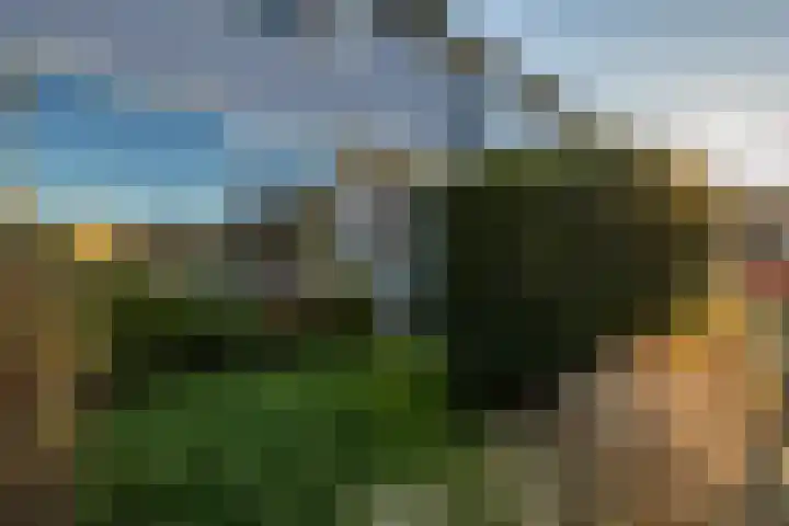 Briljantstraat 155 Groningen thumbnail 6