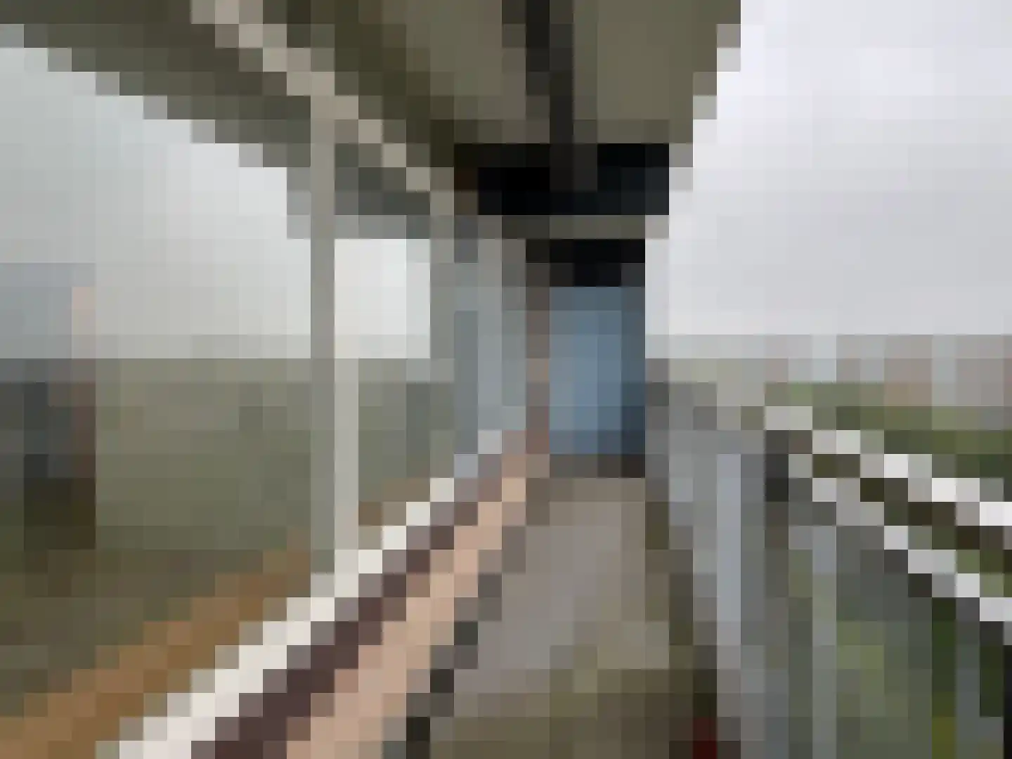 Briljantstraat 188 Alphen aan den Rijn thumbnail 16