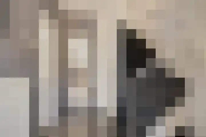 Briljantstraat 19 Groningen thumbnail 10