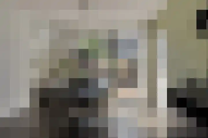 Briljantstraat 19 Groningen thumbnail 12