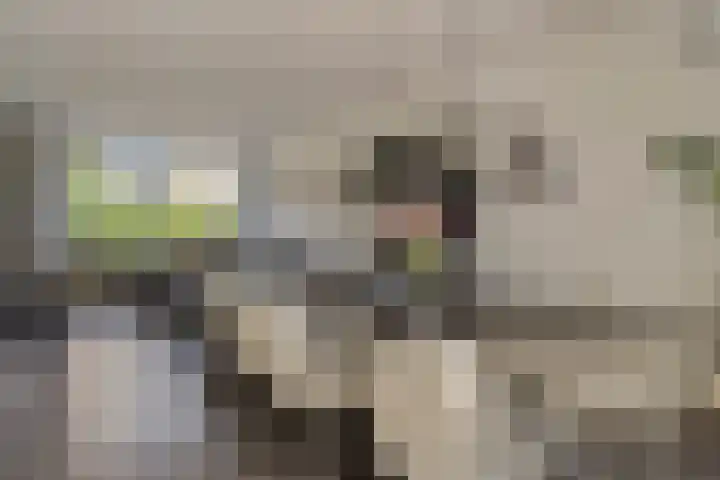 Briljantstraat 19 Groningen thumbnail 13