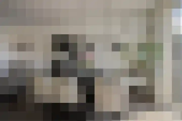 Briljantstraat 19 Groningen thumbnail 14