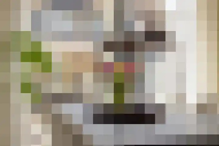 Briljantstraat 19 Groningen thumbnail 15