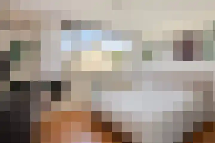 Briljantstraat 19 Groningen thumbnail 21