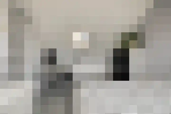 Briljantstraat 19 Groningen thumbnail 29