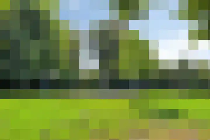 Briljantstraat 19 Groningen thumbnail 33