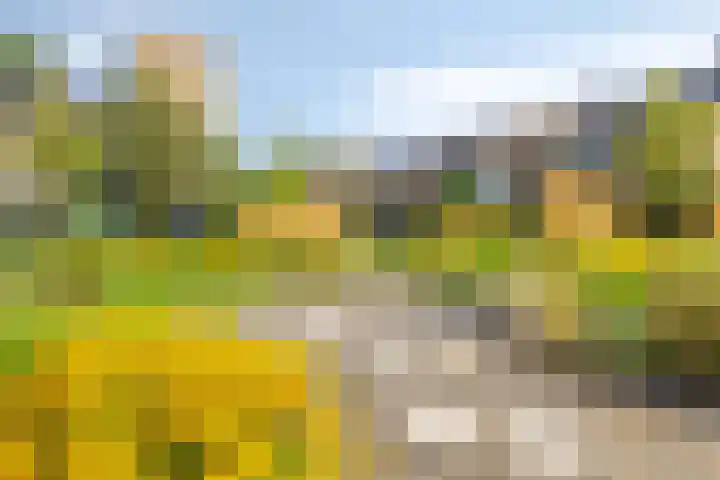 Briljantstraat 19 Groningen thumbnail 5