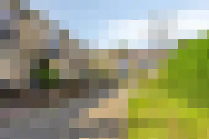 Briljantstraat 19 Groningen thumbnail 6