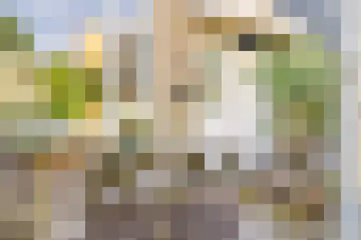 Briljantstraat 19 Groningen thumbnail 7