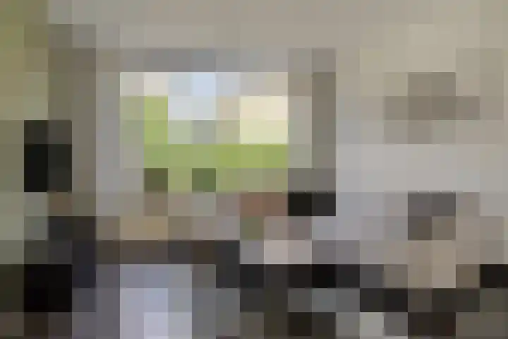 Briljantstraat 19 Groningen thumbnail 9