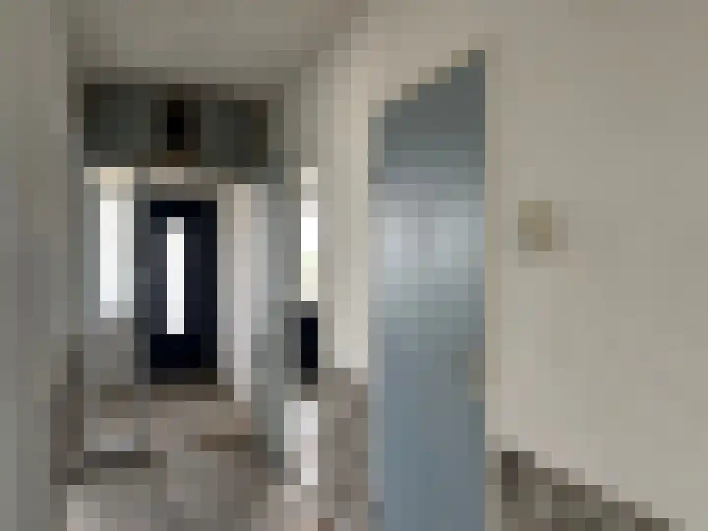Briljantstraat 310 Alphen aan den Rijn thumbnail 6