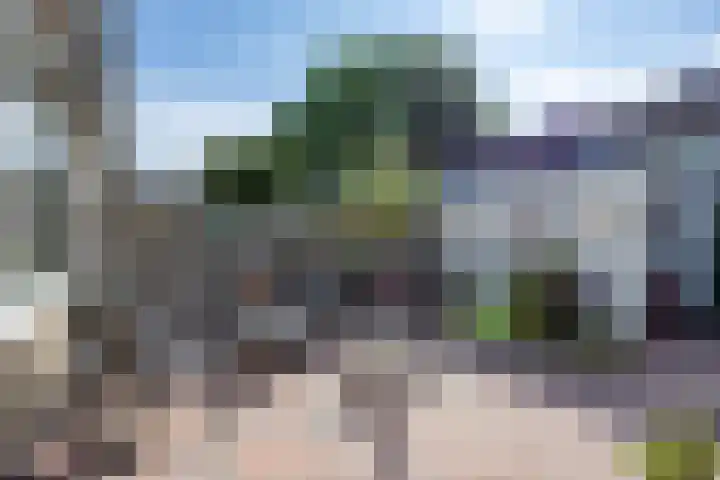 Briljantstraat 329 Groningen thumbnail 30