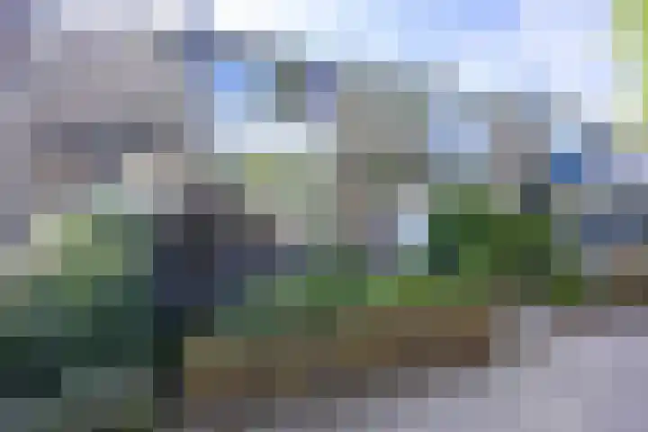 Briljantstraat 329 Groningen thumbnail 35