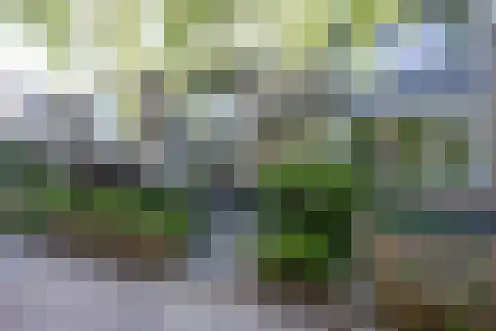 Briljantstraat 329 Groningen thumbnail 5