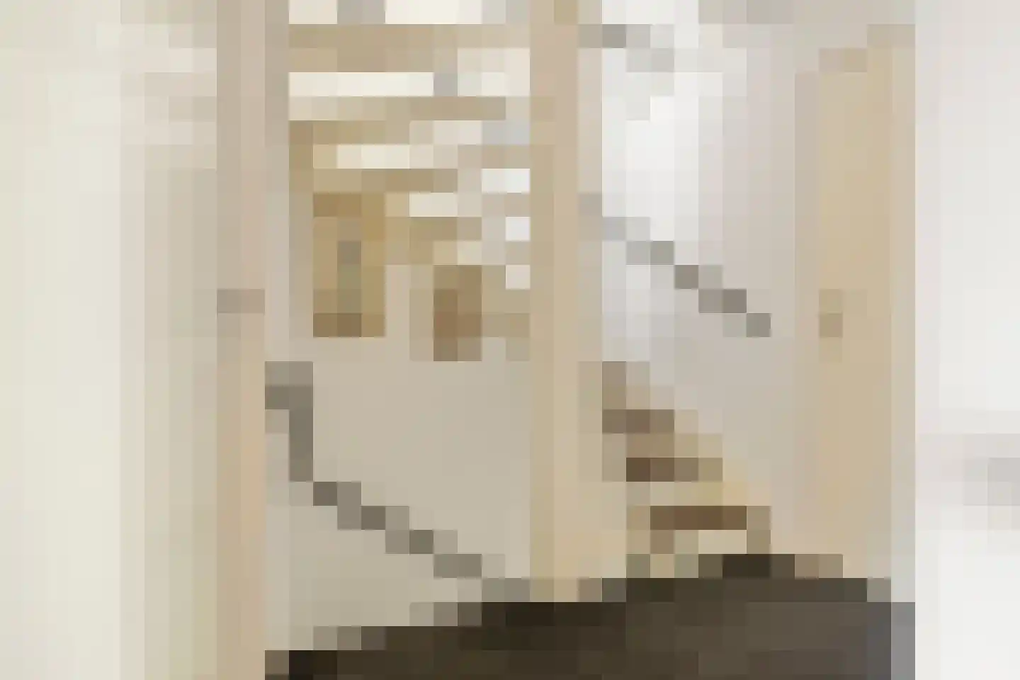 Briljantstraat 331 Groningen thumbnail 18