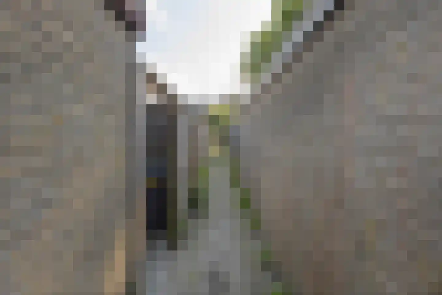 Briljantstraat 331 Groningen thumbnail 34