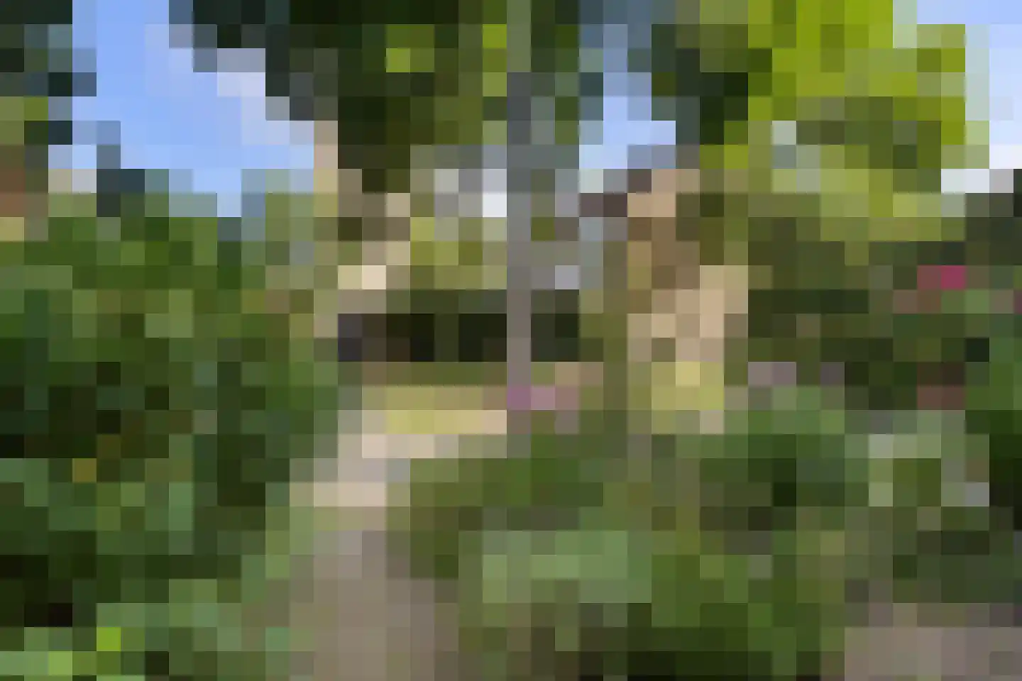 Briljantstraat 331 Groningen thumbnail 35