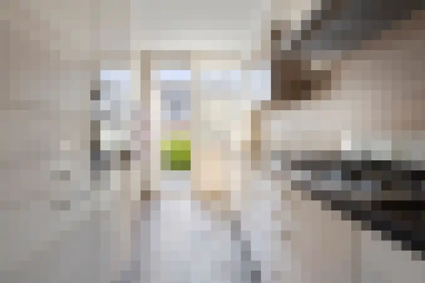 Briljantstraat 331 Groningen thumbnail 6