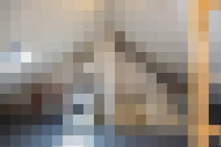 Briljantstraat 76 Groningen thumbnail 30