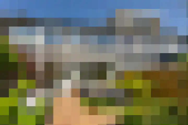 Briljantstraat 76 Groningen thumbnail 34