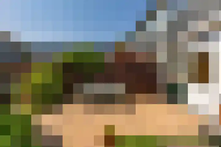 Briljantstraat 76 Groningen thumbnail 36