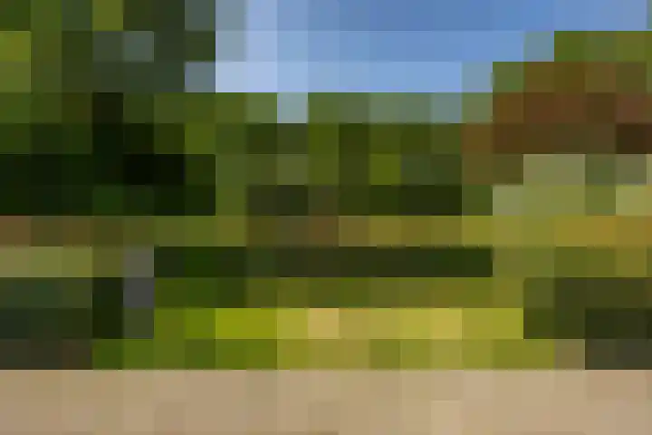 Briljantstraat 76 Groningen thumbnail 41