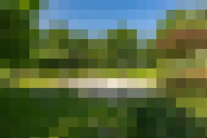 Briljantstraat 76 Groningen thumbnail 42
