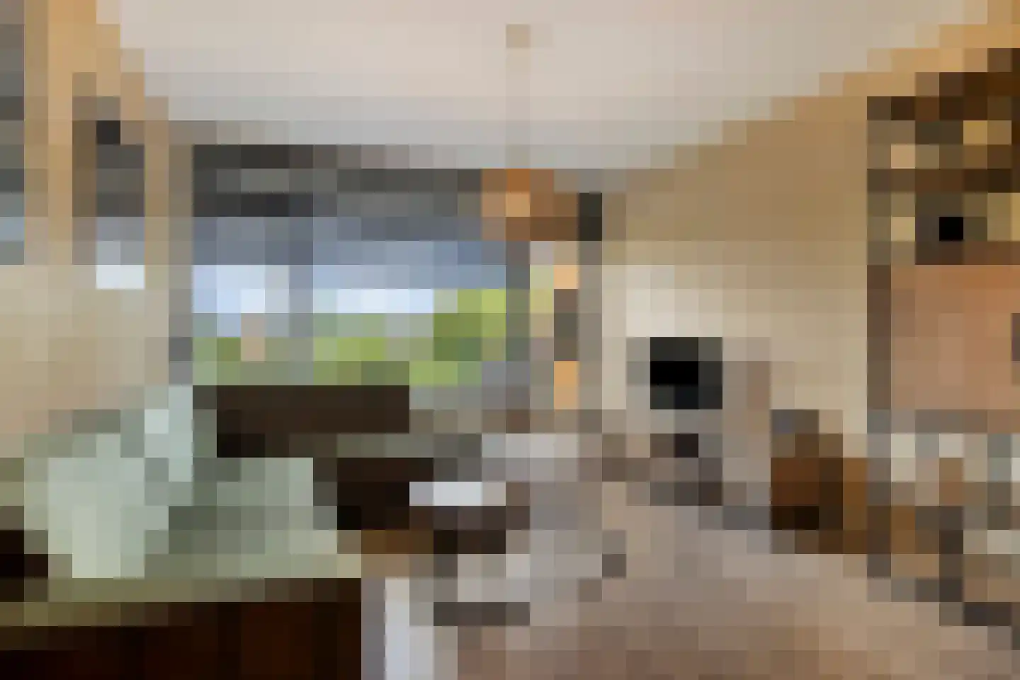 Briljantstraat 98 Alphen aan den Rijn thumbnail 11