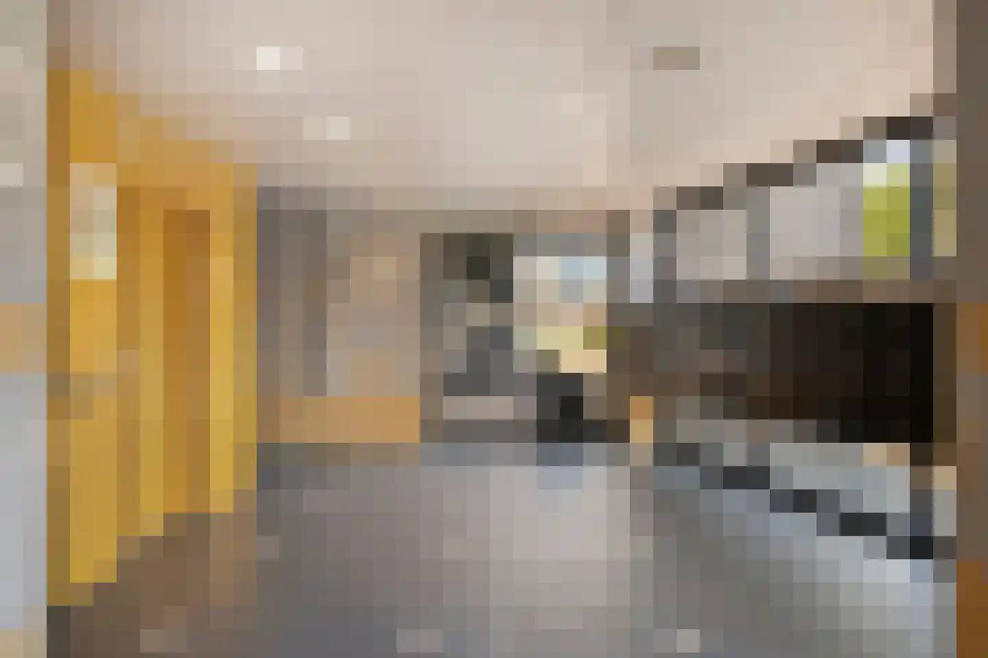 Briljantstraat 98 Alphen aan den Rijn thumbnail 6
