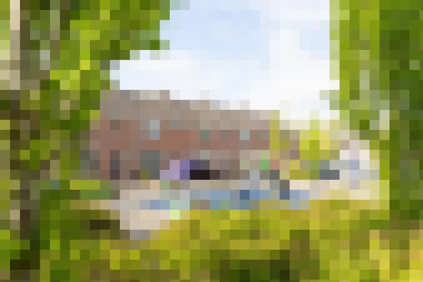 Brilliant Starstraat 35 Bovenkarspel thumbnail 50