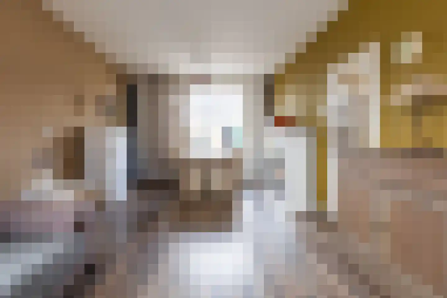 Brilliant Starstraat 35 Bovenkarspel thumbnail 7