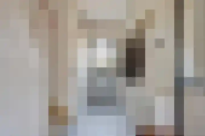 Brilliant Starstraat 39 Bovenkarspel thumbnail 6