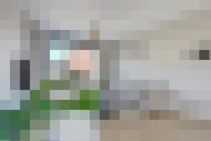 Brilliant Starstraat 39 Bovenkarspel thumbnail 9