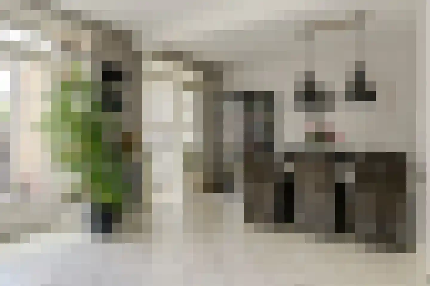Brilliant Starstraat 53 Bovenkarspel thumbnail 11