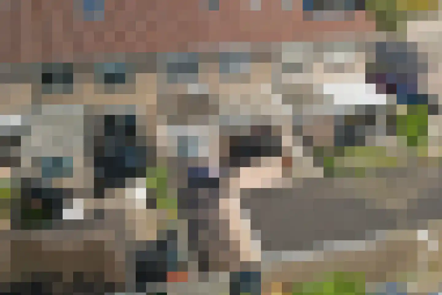 Brilliant Starstraat 53 Bovenkarspel thumbnail 29