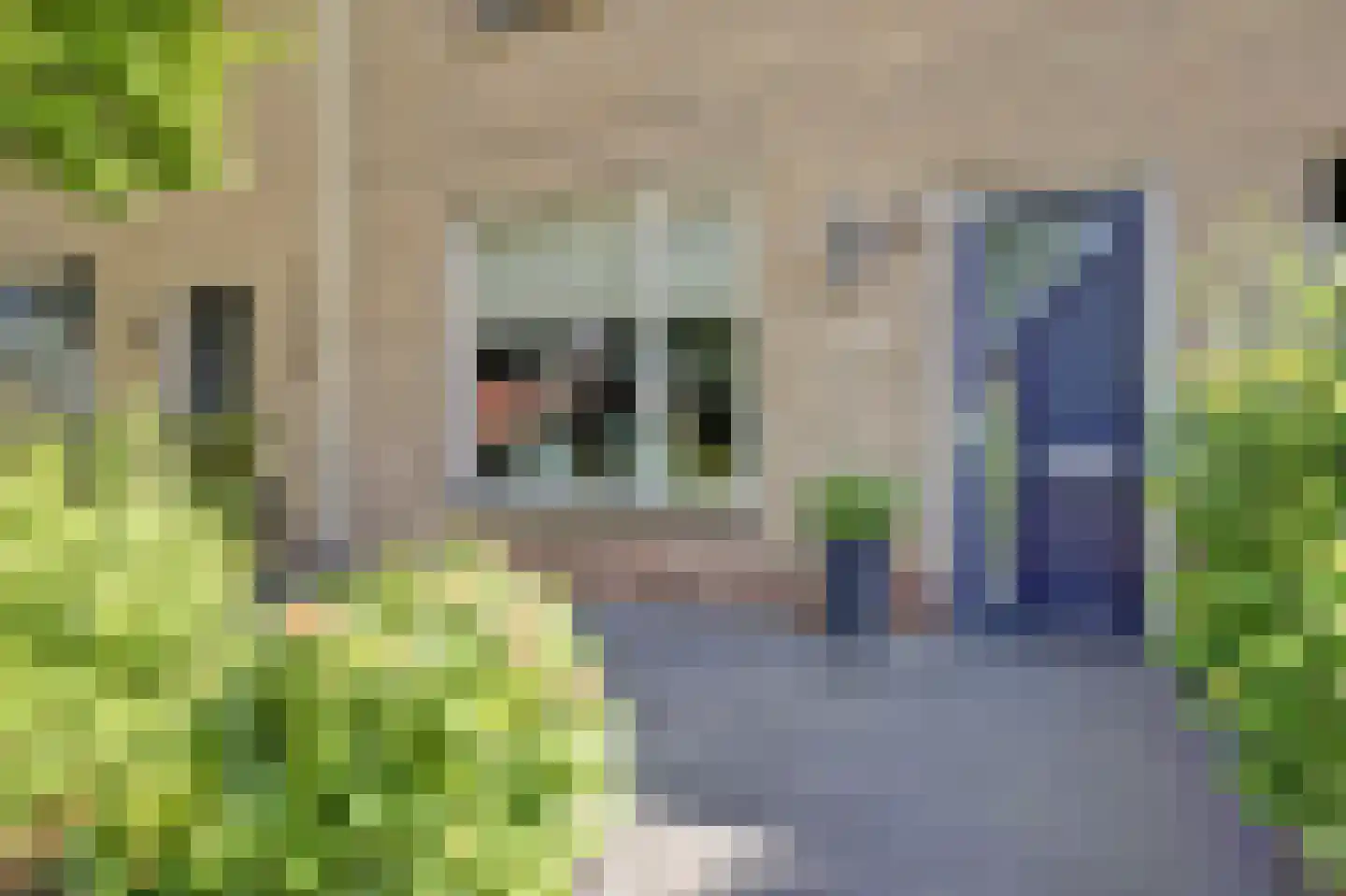 Brilliant Starstraat 53 Bovenkarspel thumbnail 38